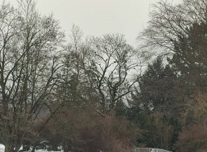 Trwa konkurs fotograficzny