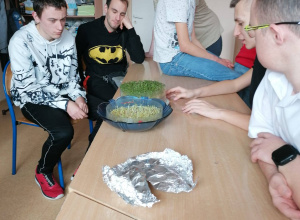 Warsztatów ekologicznych część druga