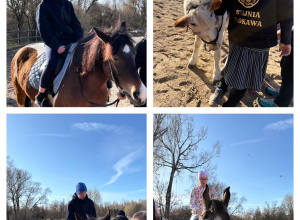 Zajęcia hipoterapii