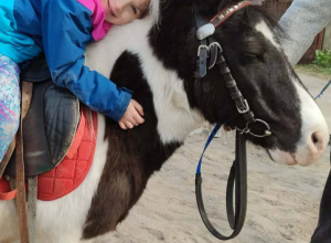 Niezwykła moc zwierząt