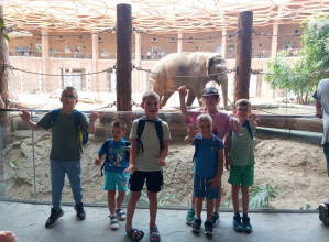 Przedszkolaki w ZOO