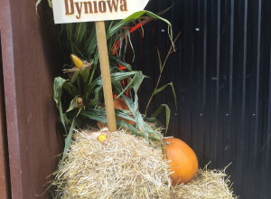 Farma Dyniowa w Fuzji