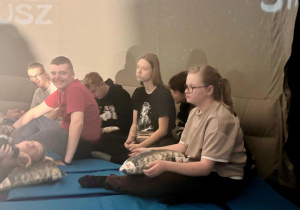 Zdjęcie 4 na 8