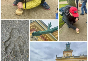 Zdjęcie 7 na 24