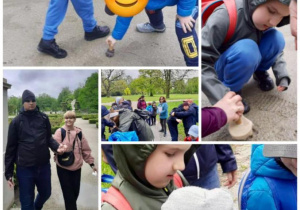 Zdjęcie 15 na 24