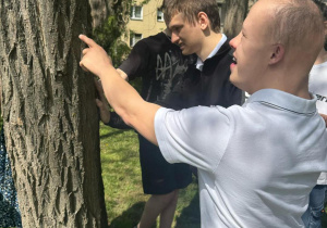 Zdjęcie 9 na 19