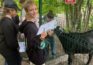 Zdjęcie 6 na 15