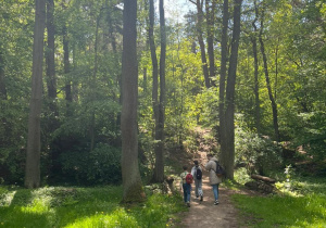 Zdjęcie 15 na 15