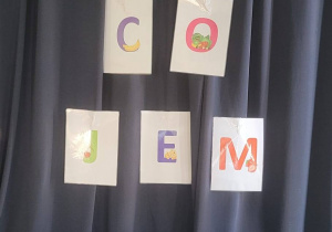 Zdjęcie 1 na 15