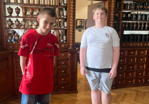Zdjęcie 9 na 19