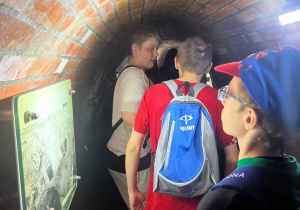 Zdjęcie 19 na 19
