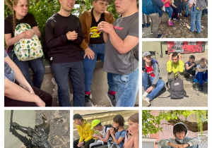 Zdjęcie 22 na 28