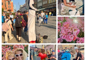 Zdjęcie 28 na 28