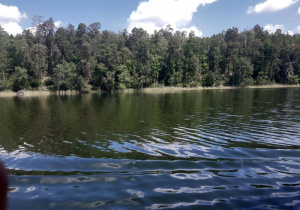 Zdjęcie 6 na 8