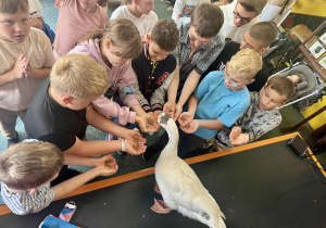 Zdjęcie 14 na 14