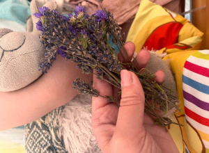 W bajkowej krainie zapachów