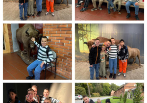 Zdjęcie 28 na 36