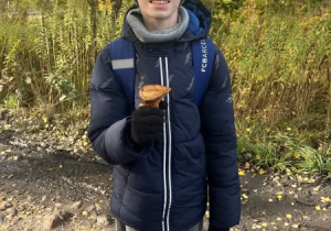 Zdjęcie 2 na 5