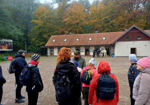 Zdjęcie 14 na 14
