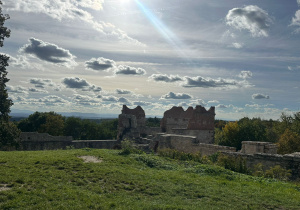 Zdjęcie 2 na 29