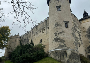 Zdjęcie 11 na 29