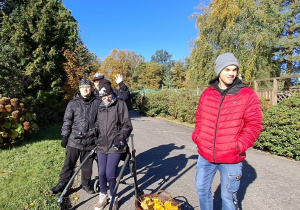 Zdjęcie 15 na 16