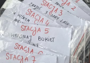 Zdjęcie 8 na 17
