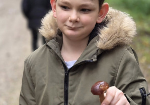 Zdjęcie 17 na 17