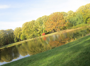 Konkurs fotograficzny „Rok w Obiektywie”